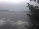 ./images/koeye/fitz-hugh/20241105/fitz-hugh20241105_140502.jpg