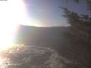 ./images/koeye/fitz-hugh/20241109/fitz-hugh20241109_145001.jpg