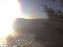 ./images/koeye/fitz-hugh/20241109/fitz-hugh20241109_150501.jpg