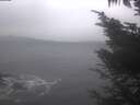 ./images/koeye/fitz-hugh/20241110/fitz-hugh20241110_104502.jpg