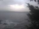 ./images/koeye/fitz-hugh/20241110/fitz-hugh20241110_164001.jpg