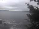 ./images/koeye/fitz-hugh/20241115/fitz-hugh20241115_144501.jpg