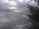 ./images/koeye/fitz-hugh/20241118/fitz-hugh20241118_145501.jpg