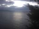 ./images/koeye/fitz-hugh/20241121/fitz-hugh20241121_165002.jpg