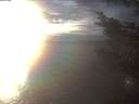 ./images/koeye/fitz-hugh/20241122/fitz-hugh20241122_154001.jpg