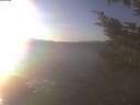 ./images/koeye/fitz-hugh/20241124/fitz-hugh20241124_145002.jpg