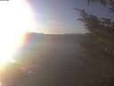 ./images/koeye/fitz-hugh/20241124/fitz-hugh20241124_150002.jpg