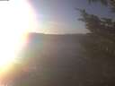 ./images/koeye/fitz-hugh/20241124/fitz-hugh20241124_150502.jpg
