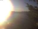 ./images/koeye/fitz-hugh/20241124/fitz-hugh20241124_152502.jpg