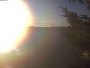./images/koeye/fitz-hugh/20241124/fitz-hugh20241124_153502.jpg