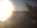 ./images/koeye/fitz-hugh/20241124/fitz-hugh20241124_154502.jpg