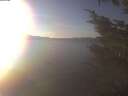 ./images/koeye/fitz-hugh/20241125/fitz-hugh20241125_145502.jpg