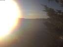 ./images/koeye/fitz-hugh/20241125/fitz-hugh20241125_153001.jpg