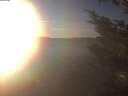 ./images/koeye/fitz-hugh/20241125/fitz-hugh20241125_153501.jpg
