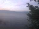 ./images/koeye/fitz-hugh/20241126/fitz-hugh20241126_072501.jpg