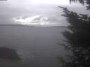 ./images/koeye/fitz-hugh/20241127/fitz-hugh20241127_140502.jpg