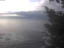 ./images/koeye/fitz-hugh/20241205/fitz-hugh20241205_130502.jpg