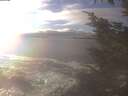 ./images/koeye/fitz-hugh/20241208/fitz-hugh20241208_143502.jpg