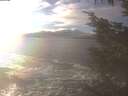 ./images/koeye/fitz-hugh/20241208/fitz-hugh20241208_144002.jpg
