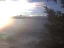 ./images/koeye/fitz-hugh/20241208/fitz-hugh20241208_150002.jpg
