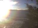 ./images/koeye/fitz-hugh/20241208/fitz-hugh20241208_151002.jpg