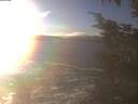 ./images/koeye/fitz-hugh/20241208/fitz-hugh20241208_151502.jpg