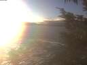 ./images/koeye/fitz-hugh/20241208/fitz-hugh20241208_152502.jpg