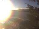 ./images/koeye/fitz-hugh/20241208/fitz-hugh20241208_153002.jpg
