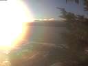 ./images/koeye/fitz-hugh/20241208/fitz-hugh20241208_153501.jpg