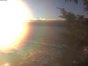 ./images/koeye/fitz-hugh/20241208/fitz-hugh20241208_154001.jpg