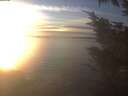 ./images/koeye/fitz-hugh/20241209/fitz-hugh20241209_154502.jpg