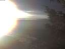 ./images/koeye/fitz-hugh/20241211/fitz-hugh20241211_152001.jpg