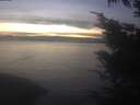./images/koeye/fitz-hugh/20241211/fitz-hugh20241211_164002.jpg