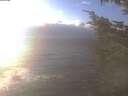 ./images/koeye/fitz-hugh/20241221/fitz-hugh20241221_143502.jpg