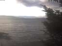 ./images/koeye/fitz-hugh/20241222/fitz-hugh20241222_142501.jpg