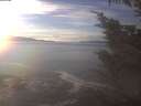 ./images/koeye/fitz-hugh/20241230/fitz-hugh20241230_143501.jpg