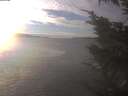 ./images/koeye/fitz-hugh/20250101/fitz-hugh20250101_145501.jpg