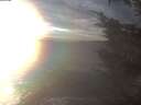 ./images/koeye/fitz-hugh/20250101/fitz-hugh20250101_154501.jpg
