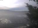 ./images/koeye/fitz-hugh/20250103/fitz-hugh20250103_130502.jpg