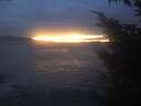 ./images/koeye/fitz-hugh/20250103/fitz-hugh20250103_171501.jpg