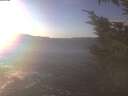 ./images/koeye/fitz-hugh/20250105/fitz-hugh20250105_144501.jpg