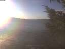 ./images/koeye/fitz-hugh/20250105/fitz-hugh20250105_145001.jpg