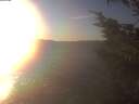 ./images/koeye/fitz-hugh/20250105/fitz-hugh20250105_154001.jpg