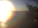 ./images/koeye/fitz-hugh/20250105/fitz-hugh20250105_160502.jpg