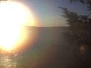 ./images/koeye/fitz-hugh/20250105/fitz-hugh20250105_161002.jpg