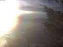 ./images/koeye/fitz-hugh/20250106/fitz-hugh20250106_154002.jpg
