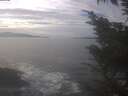 ./images/koeye/fitz-hugh/20250108/fitz-hugh20250108_130502.jpg