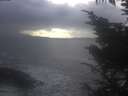 ./images/koeye/fitz-hugh/20250110/fitz-hugh20250110_145002.jpg