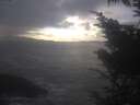 ./images/koeye/fitz-hugh/20250110/fitz-hugh20250110_150002.jpg