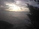 ./images/koeye/fitz-hugh/20250110/fitz-hugh20250110_150502.jpg